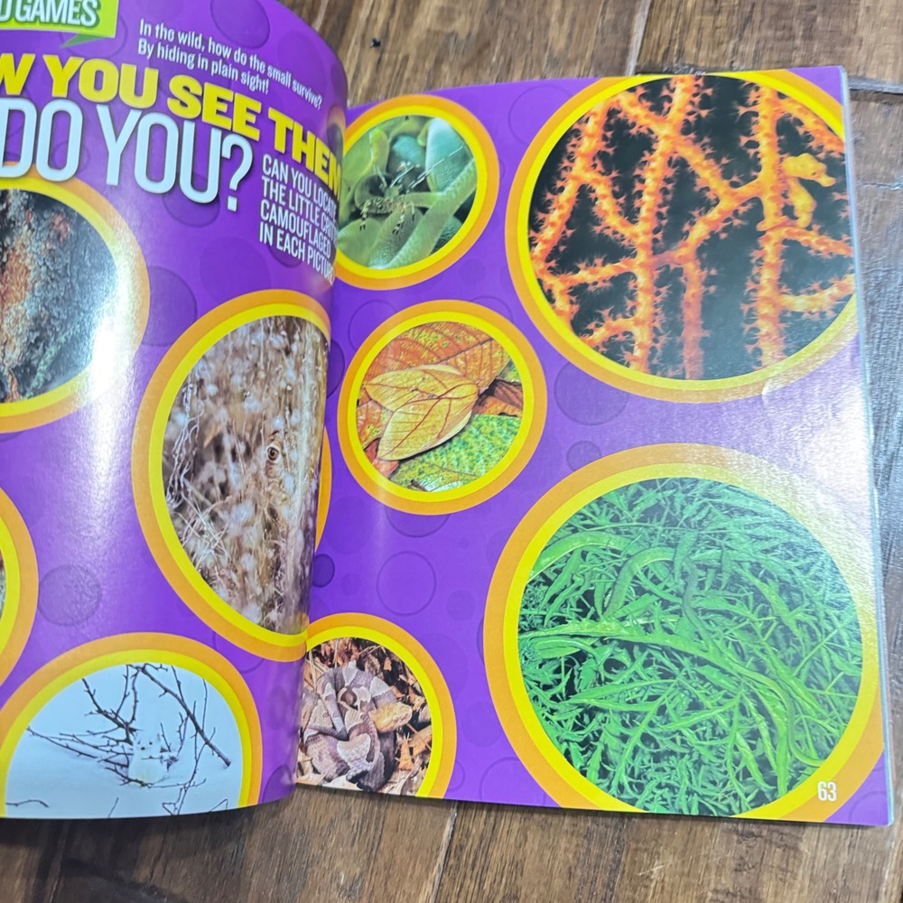 National Geographic Kids Animal Records Paperback Book Kathy Furgang